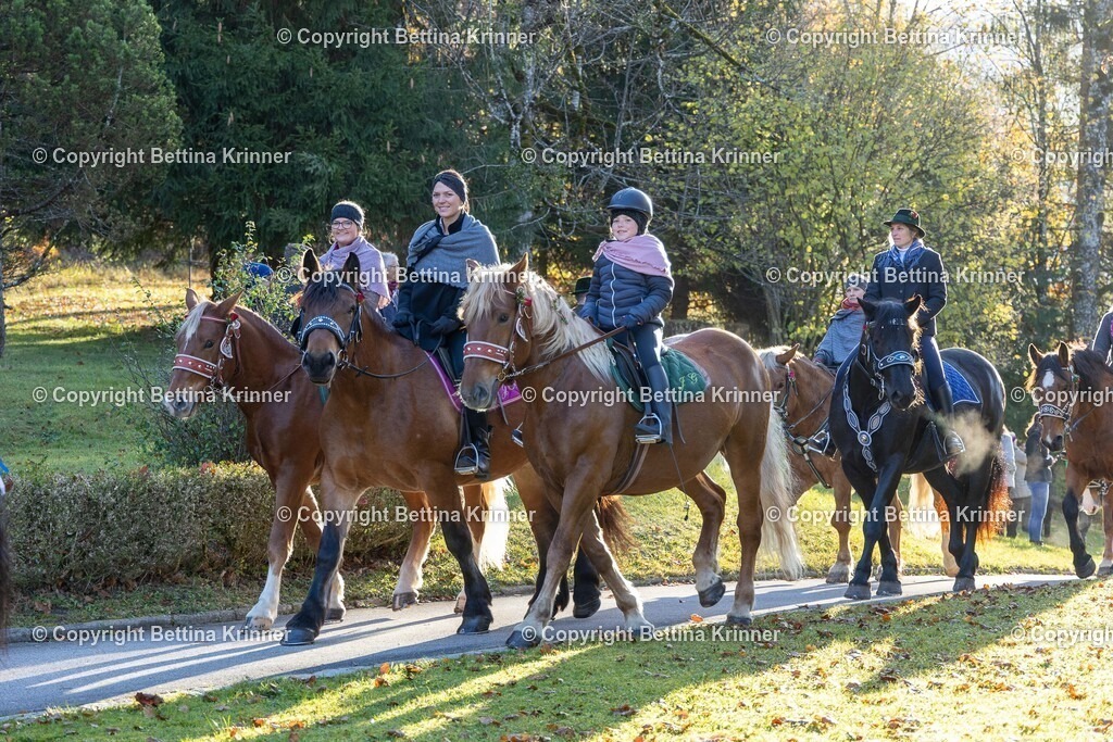 LL24-158 | foto-bettina-krinner - Realisiert mit Pictrs.com
