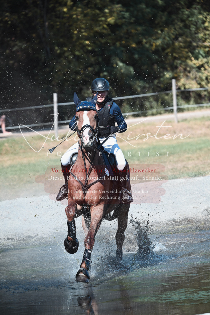 DSC_8617 | Pferde- und Turnierfotografie in Westsachsen. Pferdeportraits, Auftragszeichnungen und intuitive Kunst.