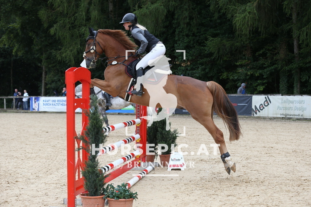 DL2Q6169 | Willkommen bei Brunnmayr - Design & Fotografie – Ihrem Spezialisten für Reitturniere und Pferdeveranstaltungen in Oberösterreich, Salzburg und Bayern! Seit über 17 Jahren sind wir leidenschaftlich dabei.