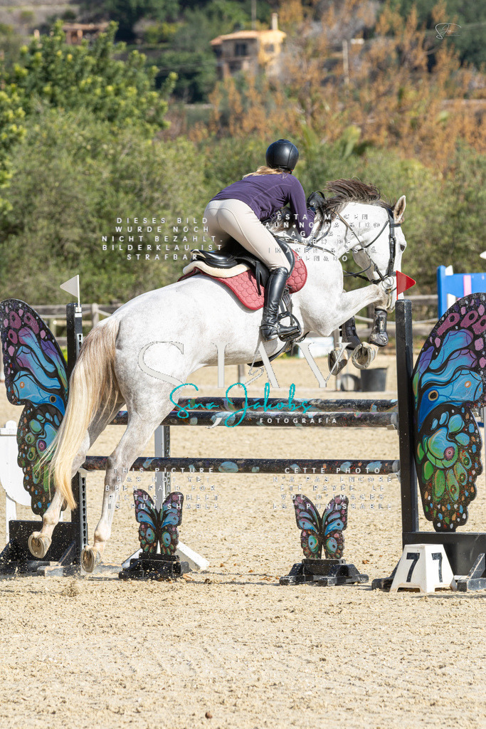 IMG_4370 | s-jay-photography - Realisiert mit Pictrs.com