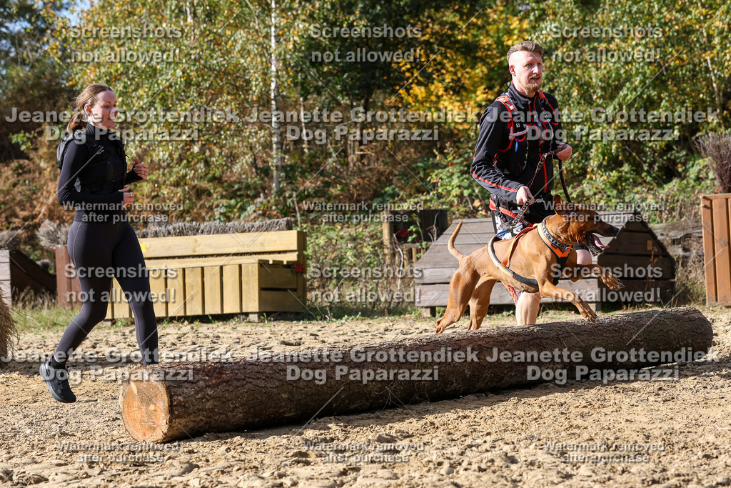 Dog Paparazzi - Strongdog 10-25-5335 | Dog Paparazzi Jeanette Grottendiek Fotografie & Videografie - Realisiert mit Pictrs.com