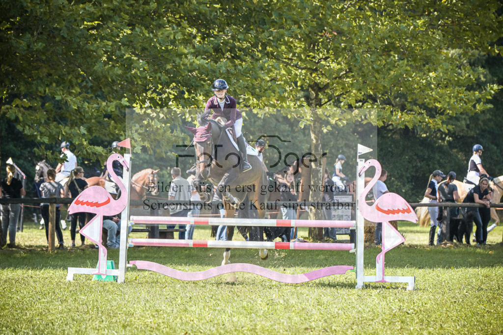 DOS_0119 | Entdecke hochwertige Reitturnierfotos von Foto Oger. Professionell, emotional und authentisch – jetzt Lieblingsmomente im Shop bestellen.Deutschlandweite Turnierfotografie. - Realisiert mit Pictrs.com
