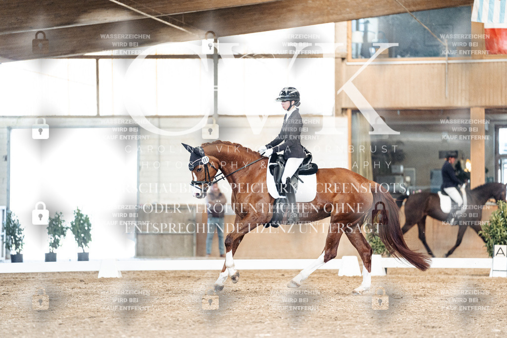 CK901297 | Turnierfotografie Pferdefotografie Trier Rheinland-Pfalz Pferdesport Reitsport Tierfotografie Sportfotografie Pferdevideo Pferdevideografie Equestrianvideography equestrianphotography  - Realized with Pictrs.com