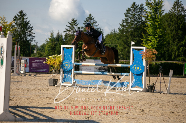 IMG_5356 | Turniersportfotografie; Pferdefotografie; Dressurfotografie
