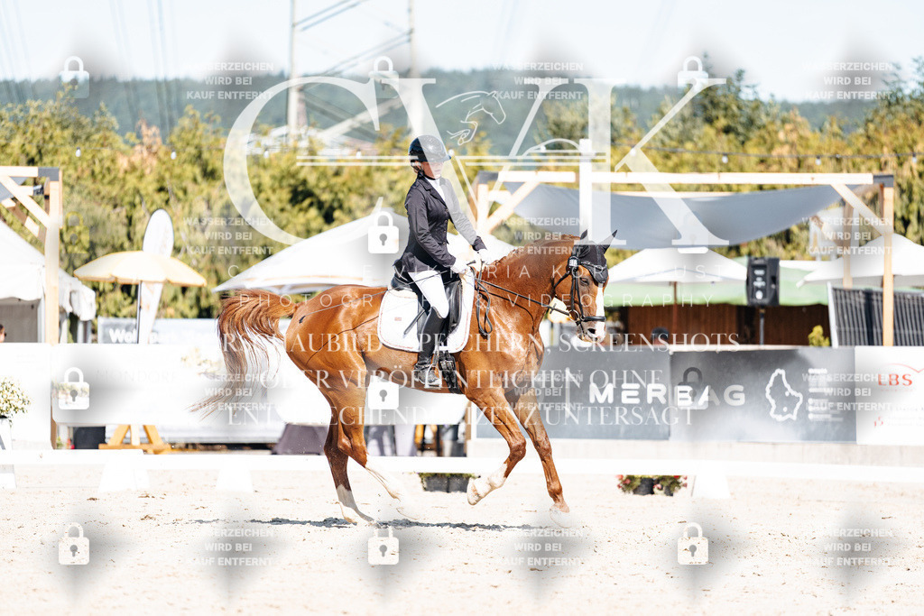 CK908853 | Turnierfotografie Pferdefotografie Trier Rheinland-Pfalz Pferdesport Reitsport Tierfotografie Sportfotografie Pferdevideo Pferdevideografie Equestrianvideography equestrianphotography  - Realisiert mit Pictrs.com