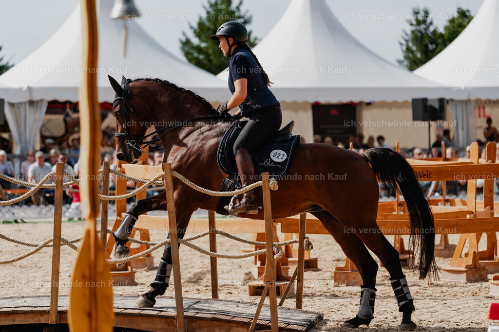 Nadine22_FHC2025-123 | working equitationturnier fotograf videograf stoibphotography marixx film working equitation deutschland reitsport turnierfotografie eventfotografie equestrian events