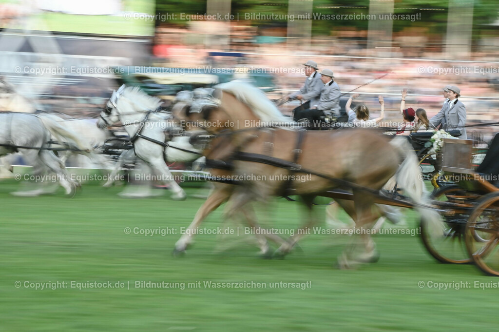 20230526_Pferdenacht_0216 | equistock