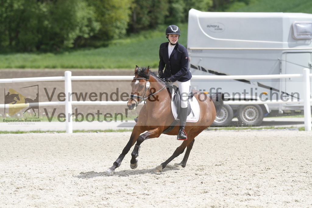 _MG_1910 | equestrian-live-com
