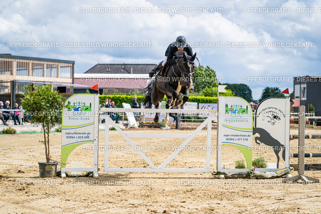 DSC05781 | Pferdegrafie