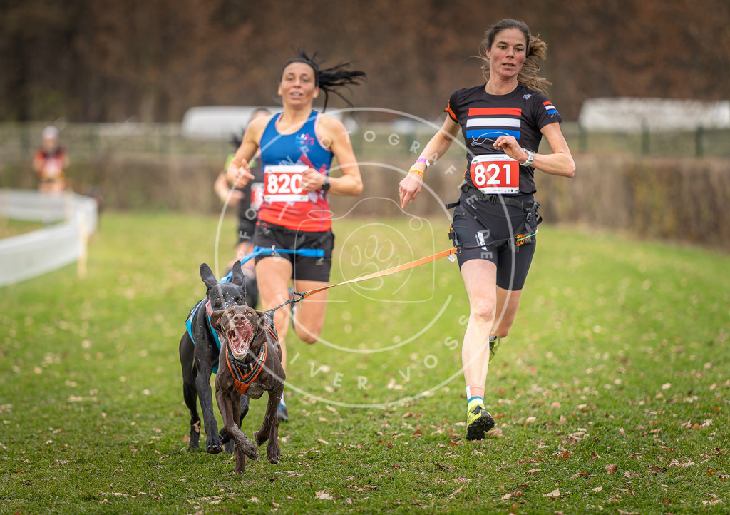 CaniXpix_DV3A6355 | Hundefotografie, Tierfotograf, Pfotenfotografie, Fotoshooting Hund, Hunde Portrait, Hundesport, Hundeportraits, Heideshooting, Hunde, Sportfotograf, Hundefotograf, Turnierhundsport, THS,  - Realisiert mit Pictrs.com