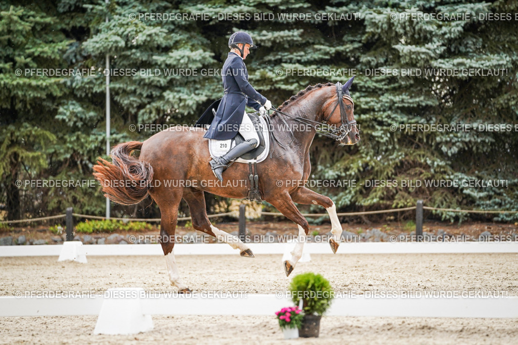 DSC07878 | Pferdegrafie