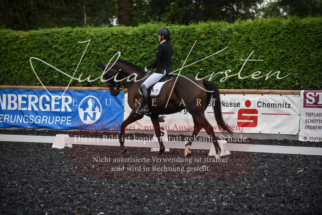 DSC_4842 | Pferde- und Turnierfotografie in Westsachsen. Pferdeportraits, Auftragszeichnungen und intuitive Kunst.