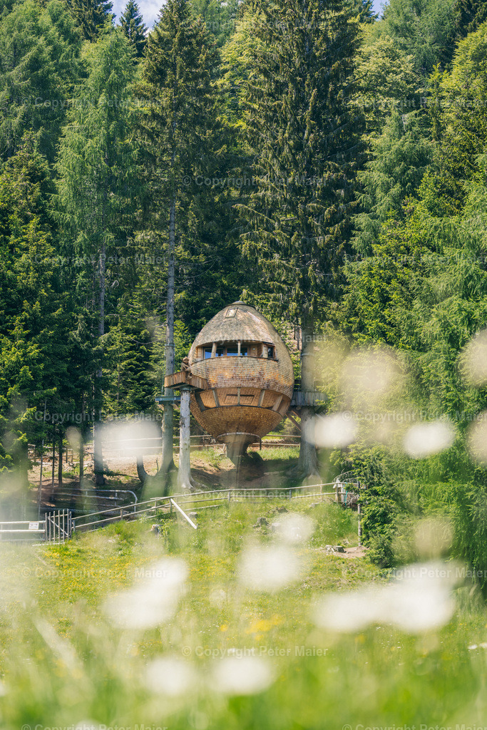 Malga_Priu_Karnische_Milchstrasse_2020-7 | piet_flosse