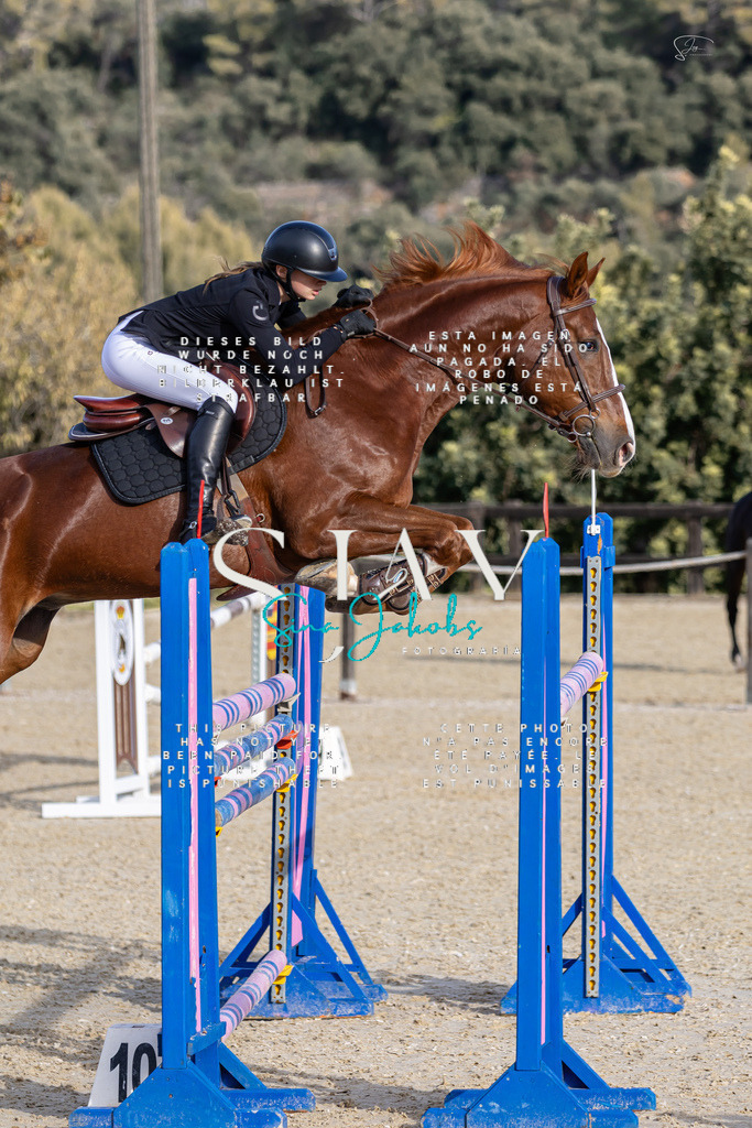 IMG_0415 | s-jay-photography - Realisiert mit Pictrs.com