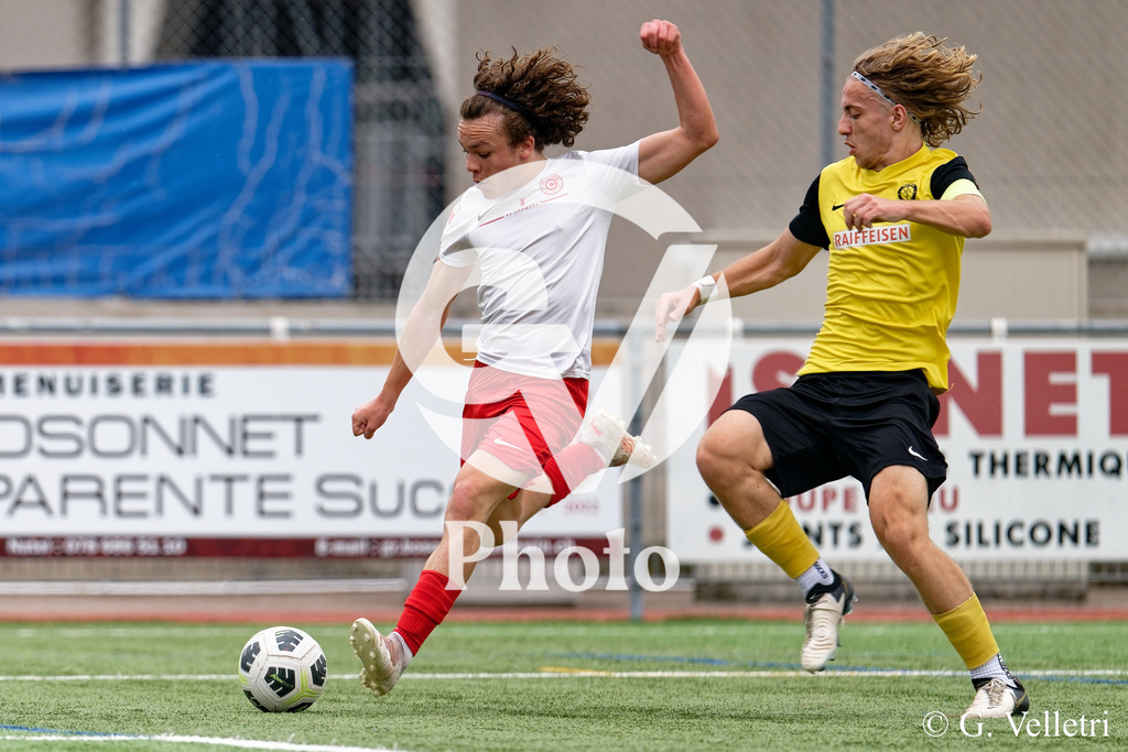 DSC_6643 | Velletri Photo