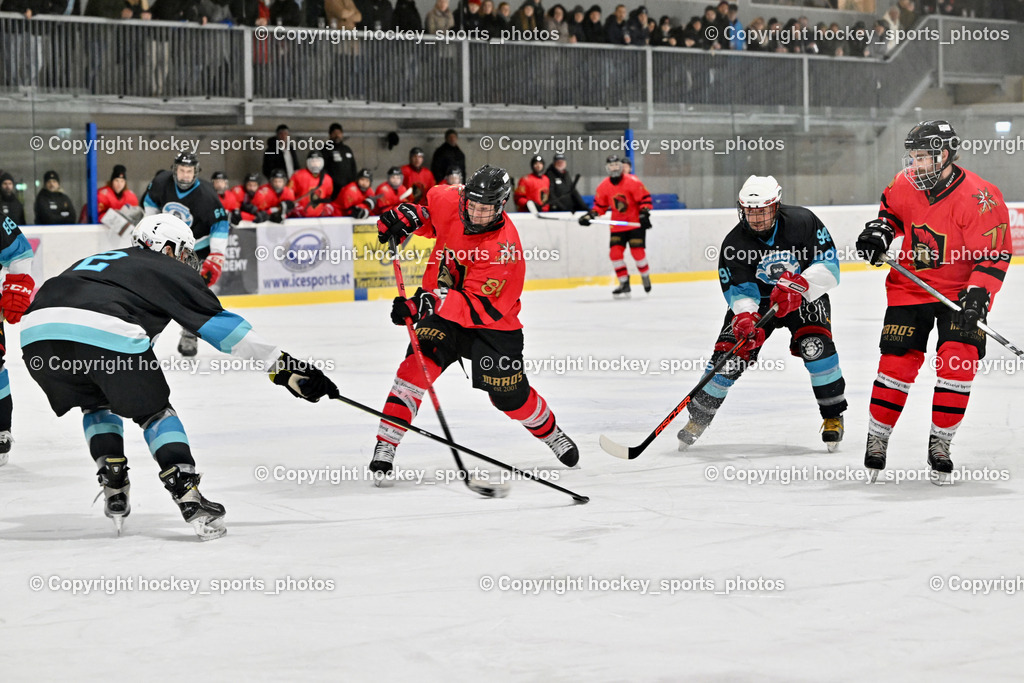 Lendhafen Seelöwen vs. Spartans Althofen | #2 Prohaska Gert Lendhafen Seelöwen, #81 Jakobitsch Silvio Spartans Althofen, #94 Rosenzopf Lukas Lendhafen Seelöwen, #77 Schumnig Stefan Spartans Althofen, Lendhafen Seelöwen vs. Spartans Althofen, Lendhafen Seelöwen vs. Spartans Althofen am 14.02.2025 in Ferlach (HTC Eishalle Ferlach), Austria, (Photo by Bernd Stefan)