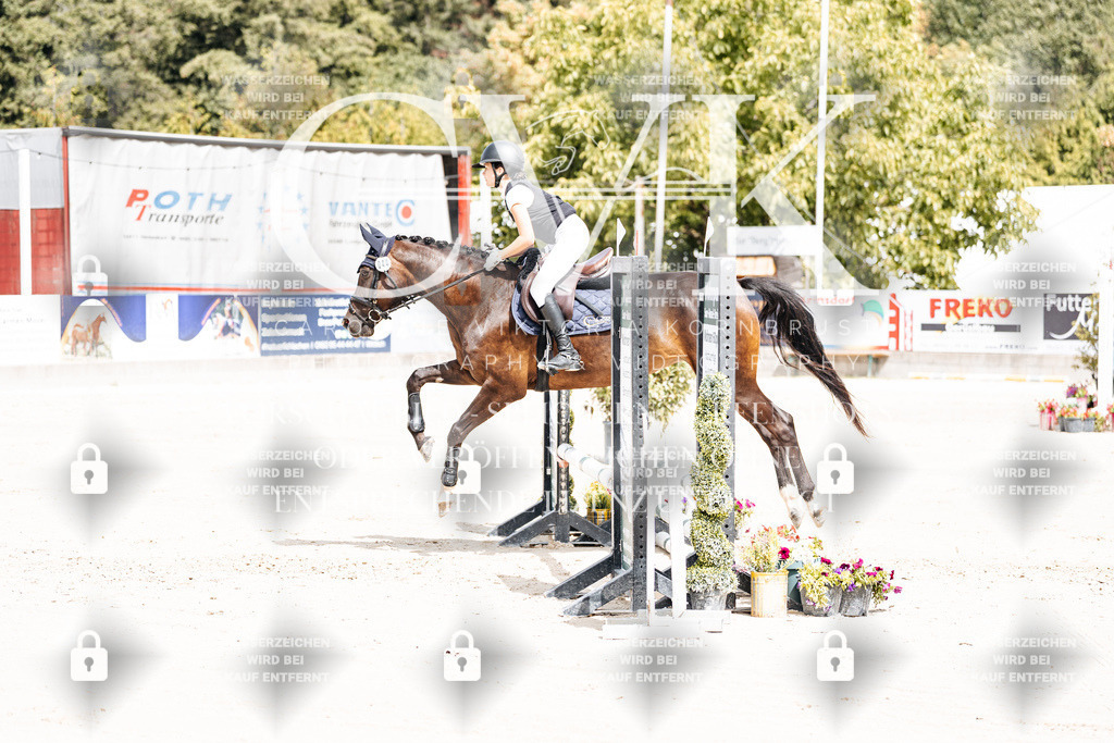 CK906338 | Turnierfotografie Pferdefotografie Trier Rheinland-Pfalz Pferdesport Reitsport Tierfotografie Sportfotografie Pferdevideo Pferdevideografie Equestrianvideography equestrianphotography  - Realisiert mit Pictrs.com