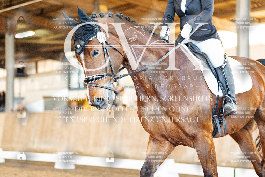 CK909103 | Turnierfotografie Pferdefotografie Trier Rheinland-Pfalz Pferdesport Reitsport Tierfotografie Sportfotografie Pferdevideo Pferdevideografie Equestrianvideography equestrianphotography  - Realisiert mit Pictrs.com