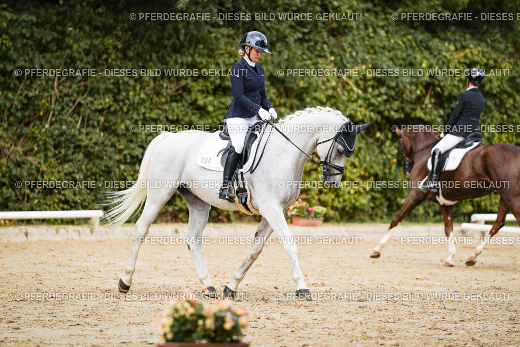 DSC02666 | Pferdegrafie