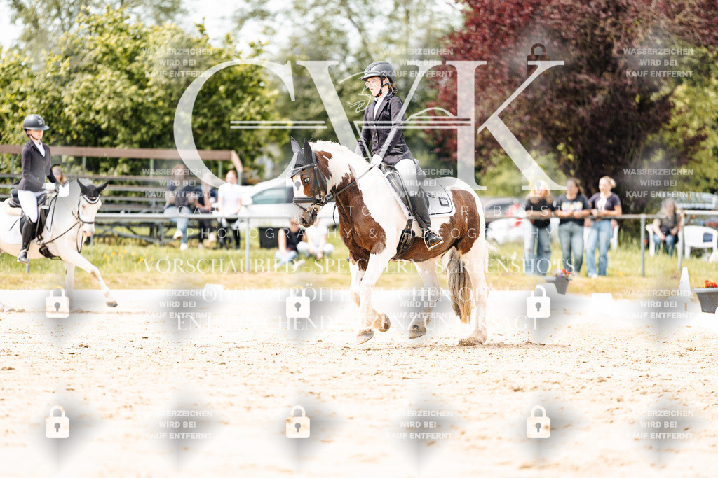 CK902252 | Turnierfotografie Pferdefotografie Trier Rheinland-Pfalz Pferdesport Reitsport Tierfotografie Sportfotografie Pferdevideo Pferdevideografie Equestrianvideography equestrianphotography  - Realisiert mit Pictrs.com