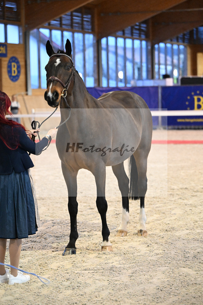 Vigaro_5250832 | hf-fotografie - Realisiert mit Pictrs.com