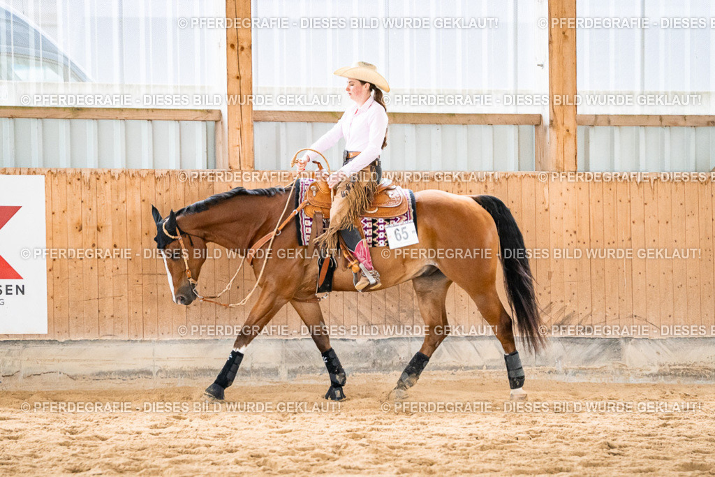 DSC00594 | Pferdegrafie