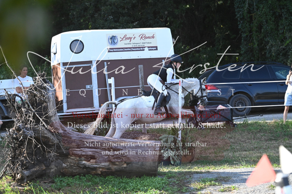 DSC_8959 | Pferde- und Turnierfotografie in Westsachsen. Pferdeportraits, Auftragszeichnungen und intuitive Kunst.