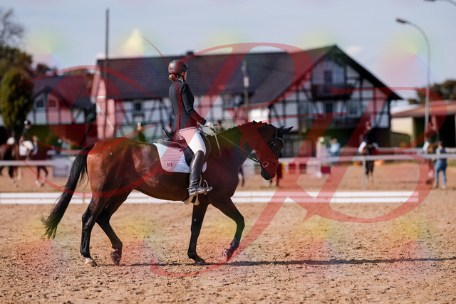 2026_10_03_Siefer-Hof_130221_Z81_56297770 | Professionelle Reitsport-, Turnier- und Eventfotografie von Robert Broda. Galerien mit ausgewählten und bearbeiteten Bildern direkt online ansehen und bestellen.