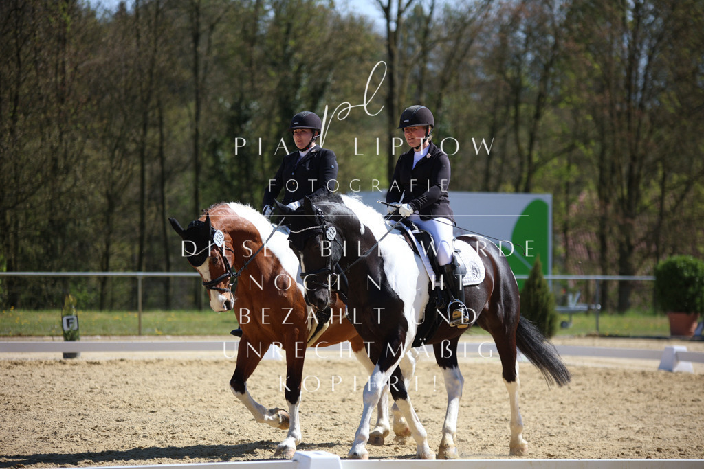 IMGT2117 | pl-fotografie