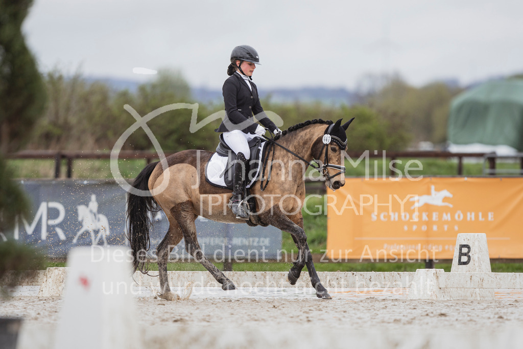 240401_Fruehlingsfest_A1-Dressur-444 | Deine schönsten Turniermomente als professionelle Fotos! Entdecke hochwertige Pferdesport-Fotografie im Online-Shop. Jetzt Fotos finden & bestellen!