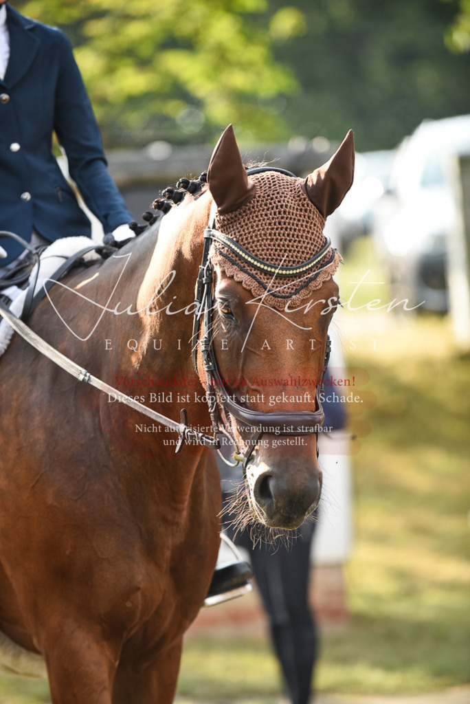 DSC_3322 | Pferde- und Turnierfotografie in Westsachsen. Pferdeportraits, Auftragszeichnungen und intuitive Kunst.