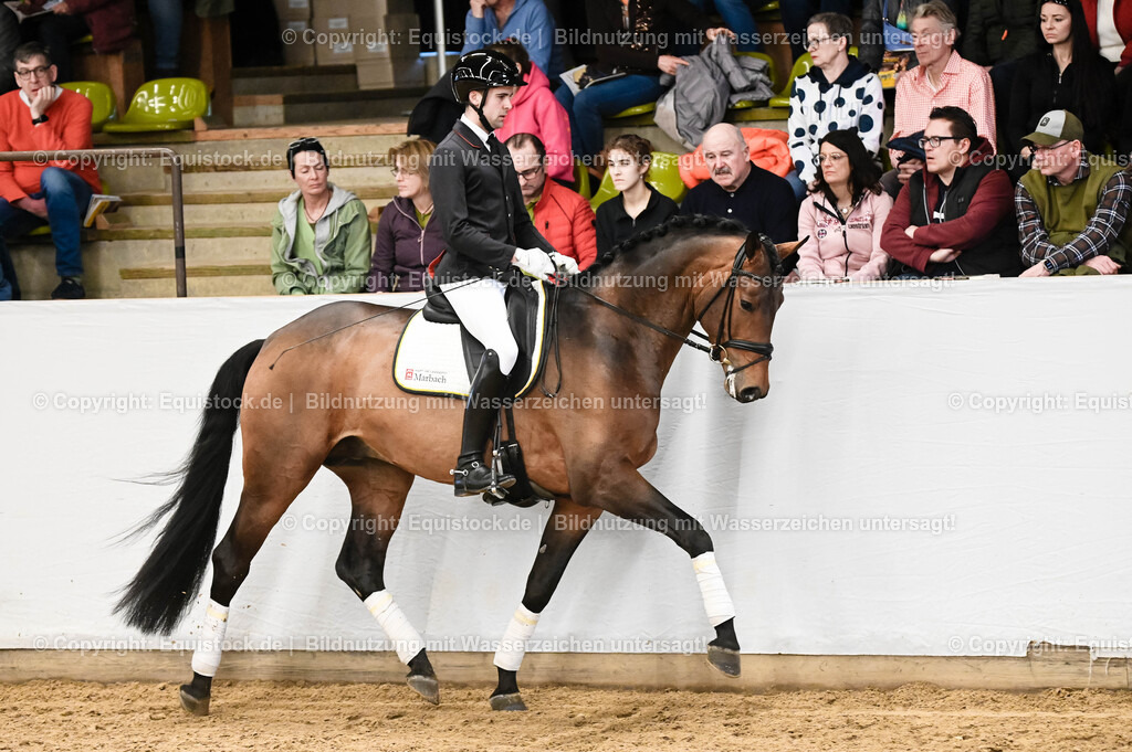 20260307_Hengstvorstellung-Marbach_0061 | equistock