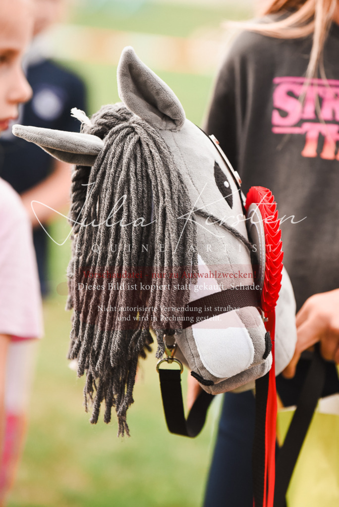 DSC_4596 | Pferde- und Turnierfotografie in Westsachsen. Pferdeportraits, Auftragszeichnungen und intuitive Kunst.