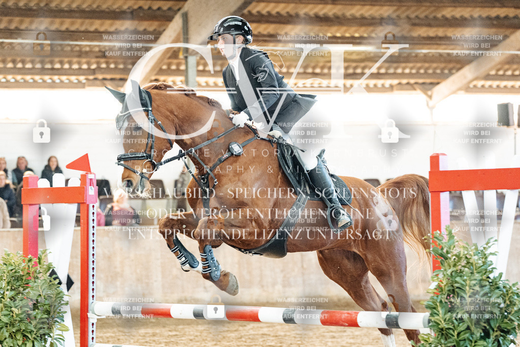 CK904120 | Turnierfotografie Pferdefotografie Trier Rheinland-Pfalz Pferdesport Reitsport Tierfotografie Sportfotografie Pferdevideo Pferdevideografie Equestrianvideography equestrianphotography  - Realisiert mit Pictrs.com