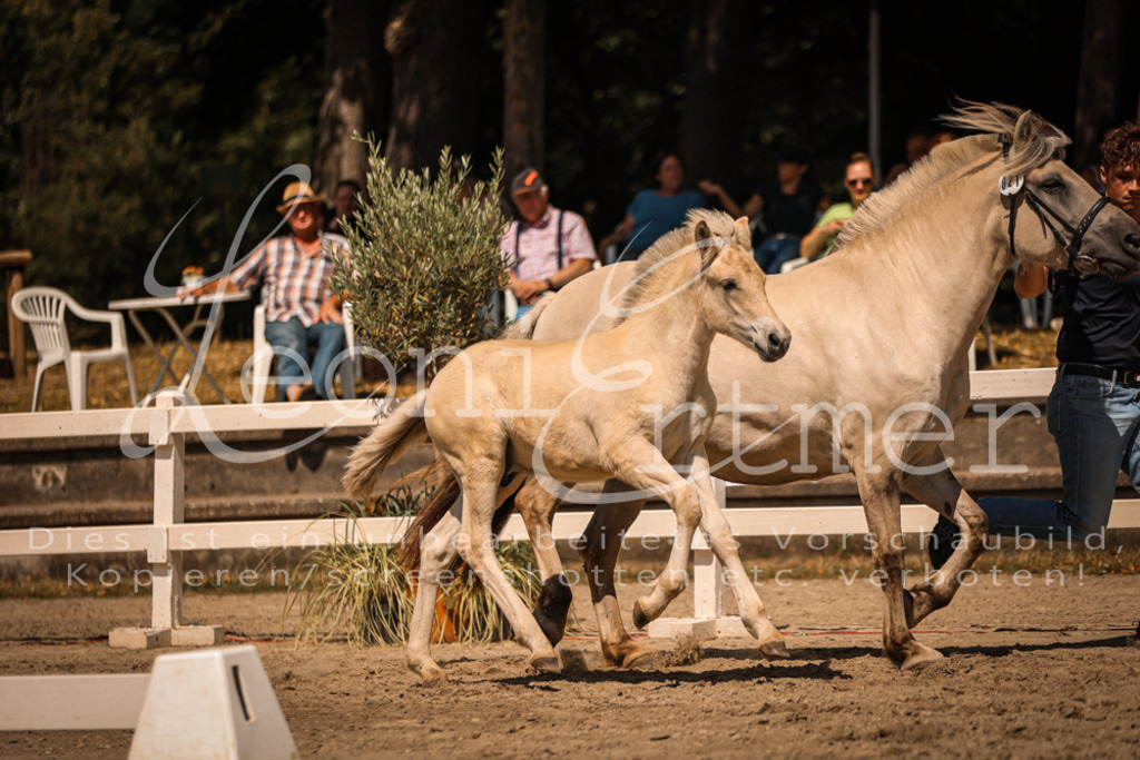 05.DoF00043 | Leoni Ertmer Photography - Realisiert mit Pictrs.com