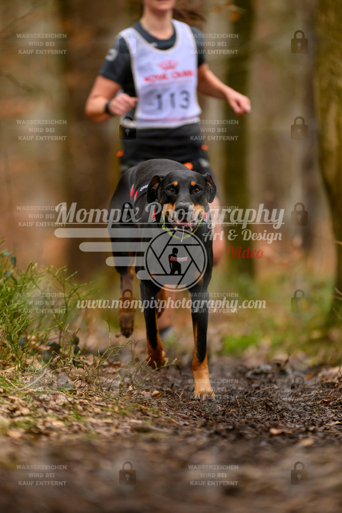 MompixPhotography_CDSM24_SA_Fun-36 | PayLife