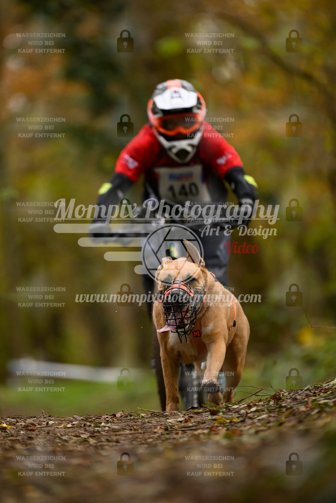 MompixPhotography_Bischwiller24_SA_VTT-81 | PayLife
