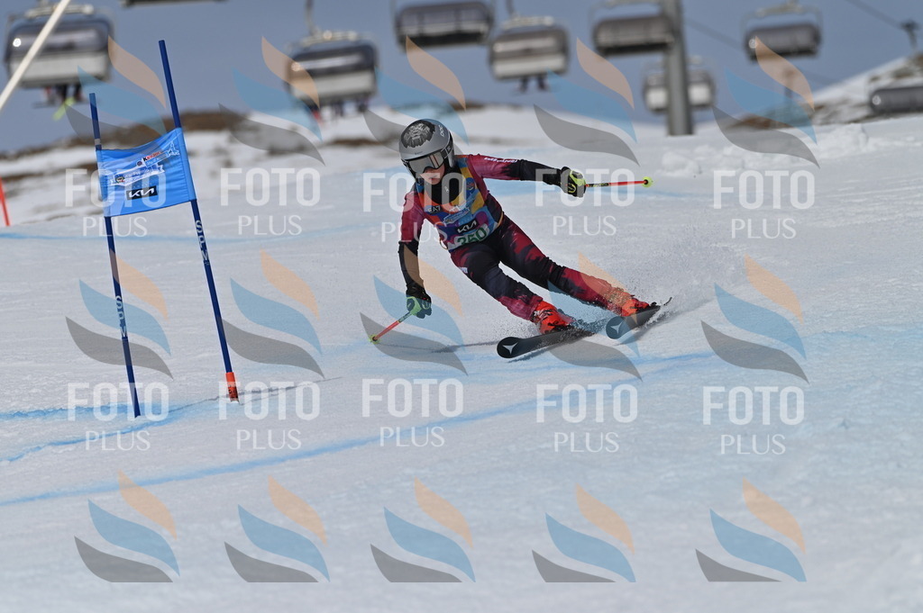 BGV_6888 | holidayphoto