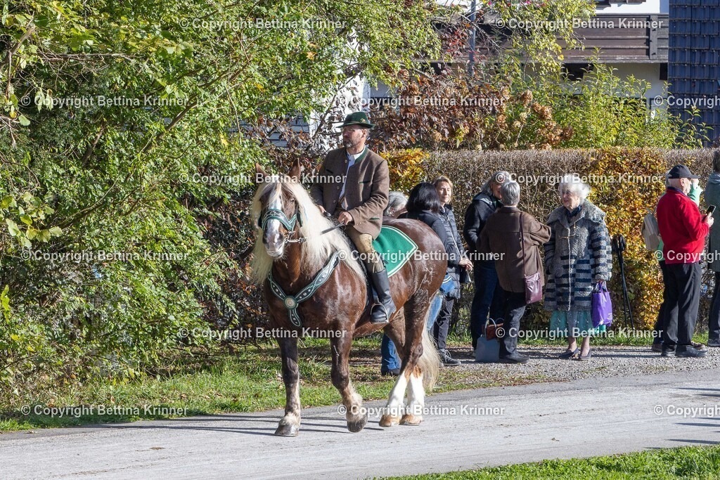 LBT24-913 | foto-bettina-krinner - Realisiert mit Pictrs.com