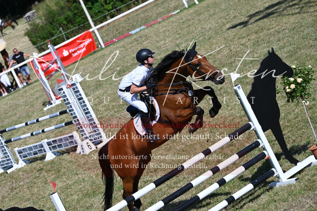 DSC_1919 | Pferde- und Turnierfotografie in Westsachsen. Pferdeportraits, Auftragszeichnungen und intuitive Kunst.