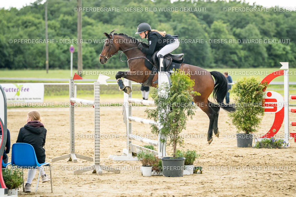 DSC07154 | Pferdegrafie