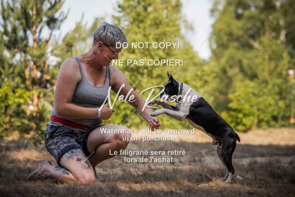 nelerasche_soDD1_267 | nelerasche