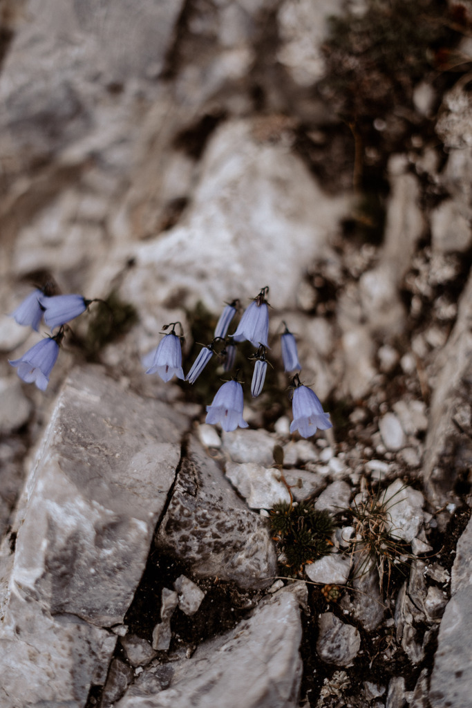 DSC07909 | Print Shop 
Fotografie
Posterdruck
Landschaftsfotografie
Reisefotografie
Naturfotografie
Anja Brandes Poster 
Anja Brandes Photography 
Prints for Walls 
Printable 
Posterdrucke
Poster aesthetic 
Poster Wall 
Poster Prints 
Poster schwarz weiß - Realisiert mit Pictrs.com