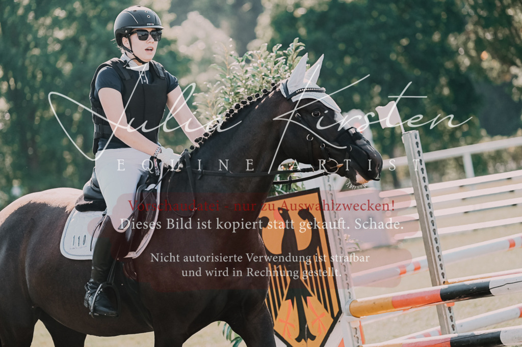 DSC_4837 | Pferde- und Turnierfotografie in Westsachsen. Pferdeportraits, Auftragszeichnungen und intuitive Kunst.