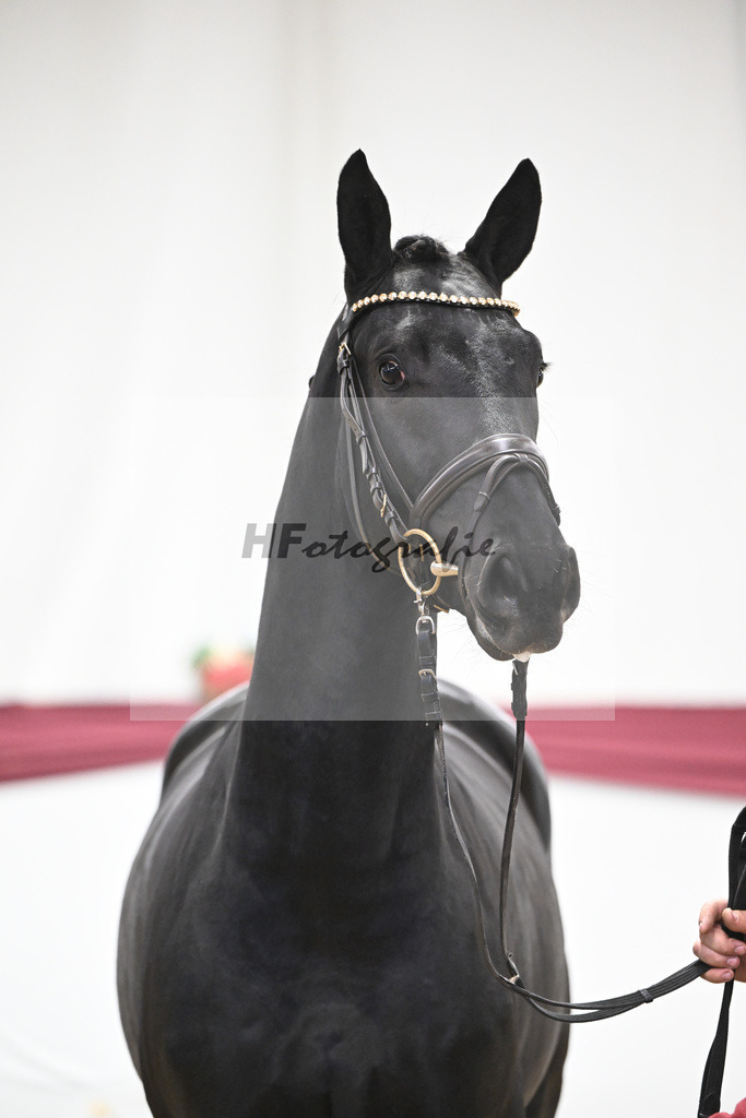 Kat-Nr. 40 Segantini x Fidertanz_Thomas Casper_47251403 | hf-fotografie - Realisiert mit Pictrs.com