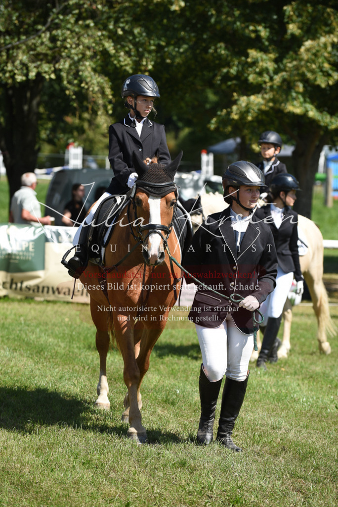 DSC_9661 | Pferde- und Turnierfotografie in Westsachsen. Pferdeportraits, Auftragszeichnungen und intuitive Kunst.