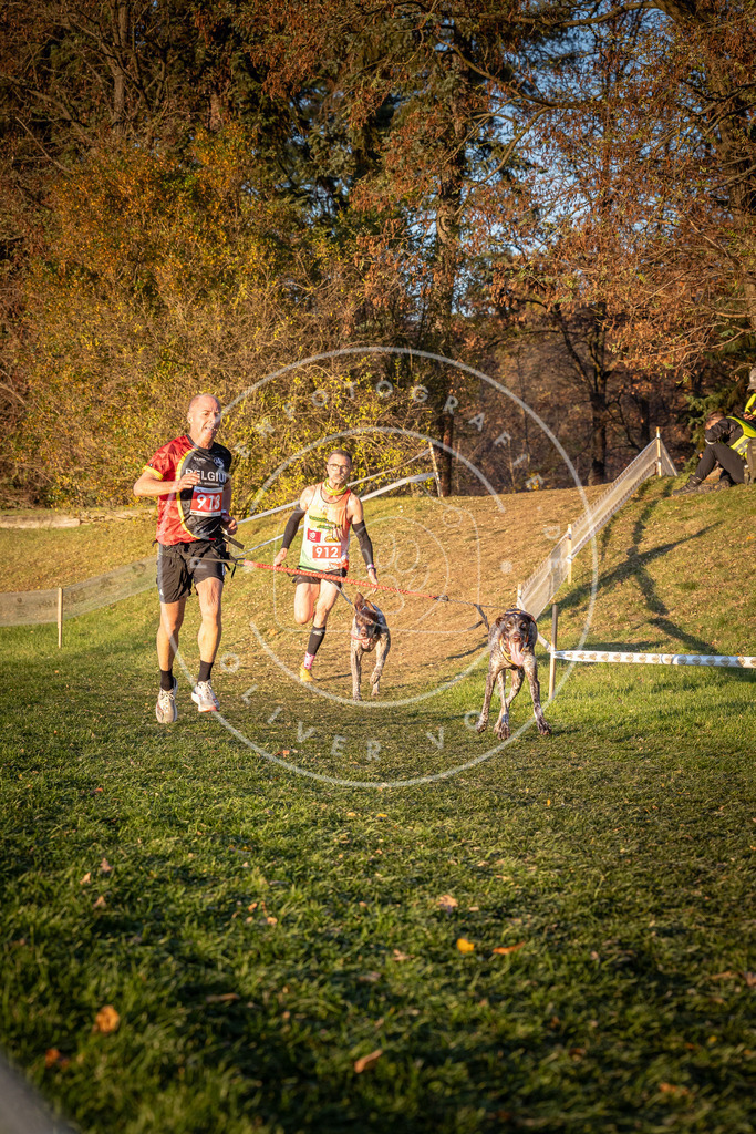 CaniXpix_0L8A1455 | Hundefotografie, Tierfotograf, Pfotenfotografie, Fotoshooting Hund, Hunde Portrait, Hundesport, Hundeportraits, Heideshooting, Hunde, Sportfotograf, Hundefotograf, Turnierhundsport, THS,  - Realisiert mit Pictrs.com