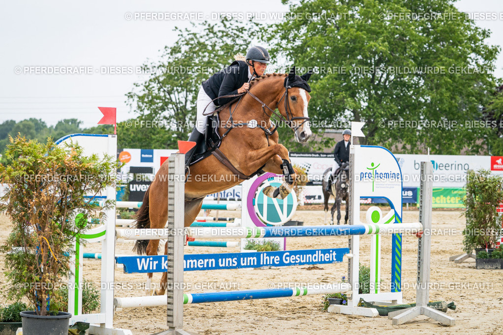 DSC00193 | Pferdegrafie