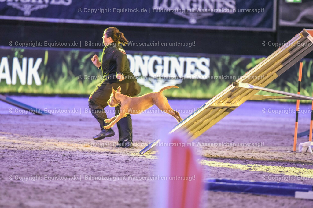 20231115_Dog-Agility_0112_TOMsPiC | Foto: Thomas Hartig