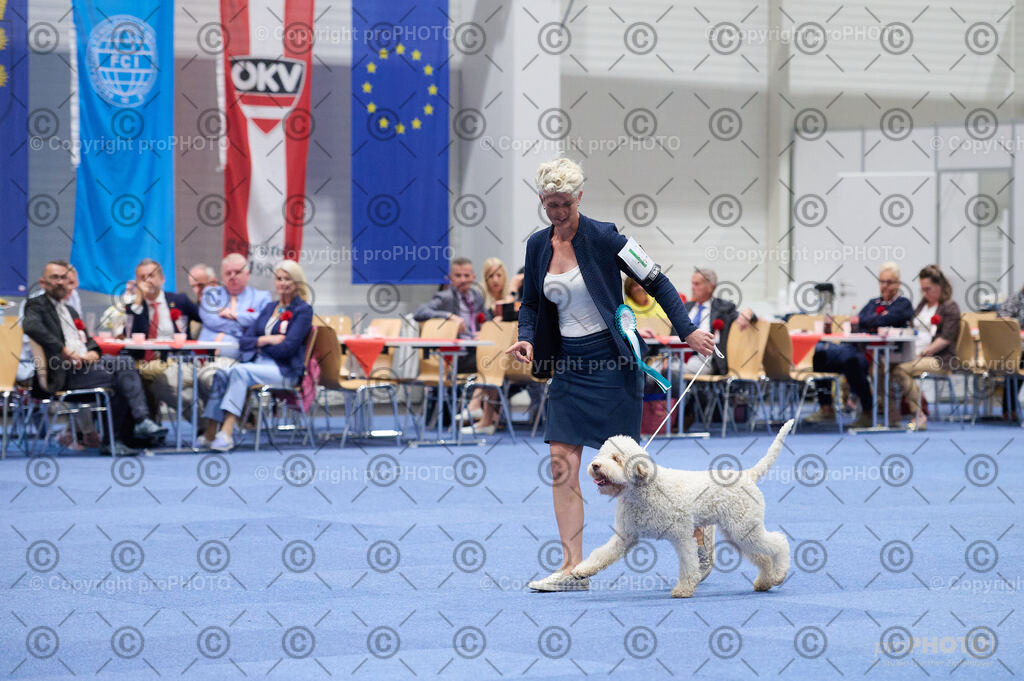 202406_ÖKV-IHA-Tulln24_DSC_3185 | proPHOTO - Realisiert mit Pictrs.com